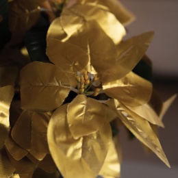 Kwiaty sztuczne GWIAZDA BETLEJEMSKA 45 cm złota