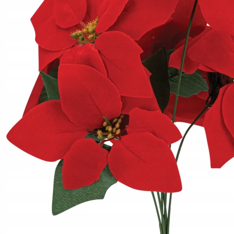 GWIAZDA BETLEJEMSKA 45 cm czerwona bukiet gałązka
