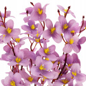 Kwiaty sztuczne w doniczce OZDOBA ORCHIDEA PIĘKNA DUŻA
