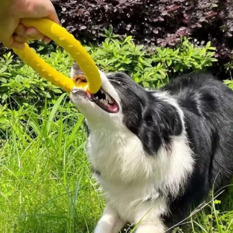 Zabawka dla psa puller ringo gryzak do szkolenia treningu rzucania zestaw xl 29cm 2szt