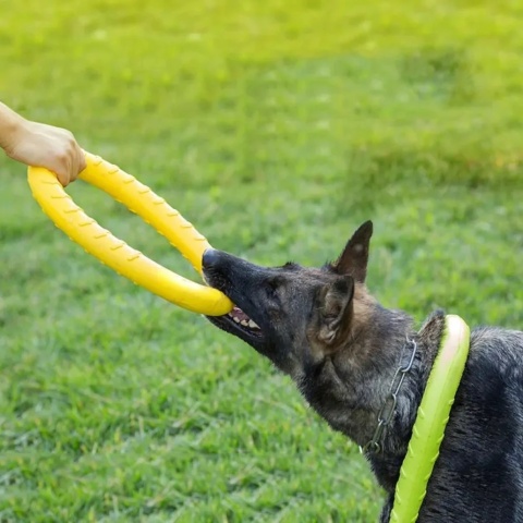 Zabawka dla psa puller ringo gryzak do szkolenia treningu rzucania zestaw xl 29cm 2szt